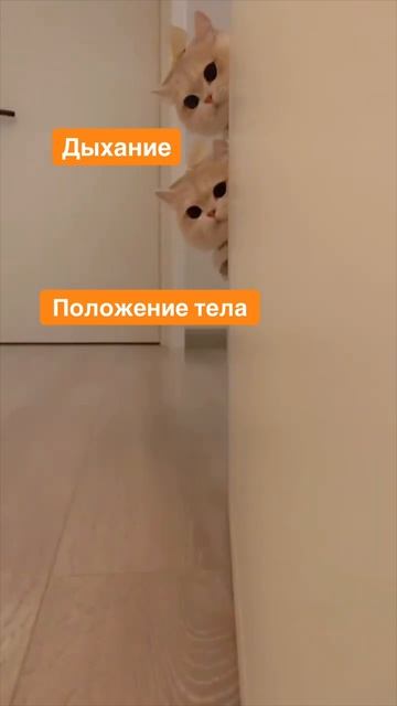 Этапы обучения плаванию за 5 секунд❤️ смотреть онлайн