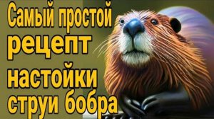 🔥Самый простой рецепт настойки струи бобра! От каких болезней, что лечит, применение.