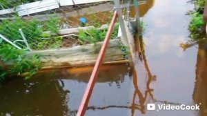 Синоптики хулиганят