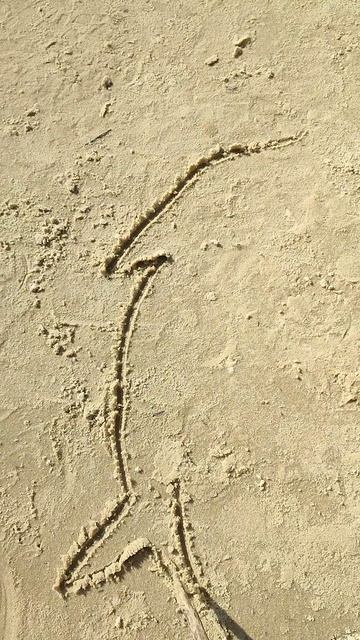 Дельфин на речном песке, МК для детей