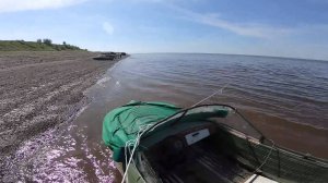 Трудовая рыбалка на Енисее. Ловля неводом.