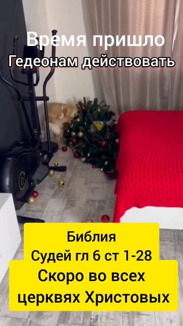 #церковь #рождество #елка #новыйгод #святость #вера #духовность #медитация #сила смотреть онлайн