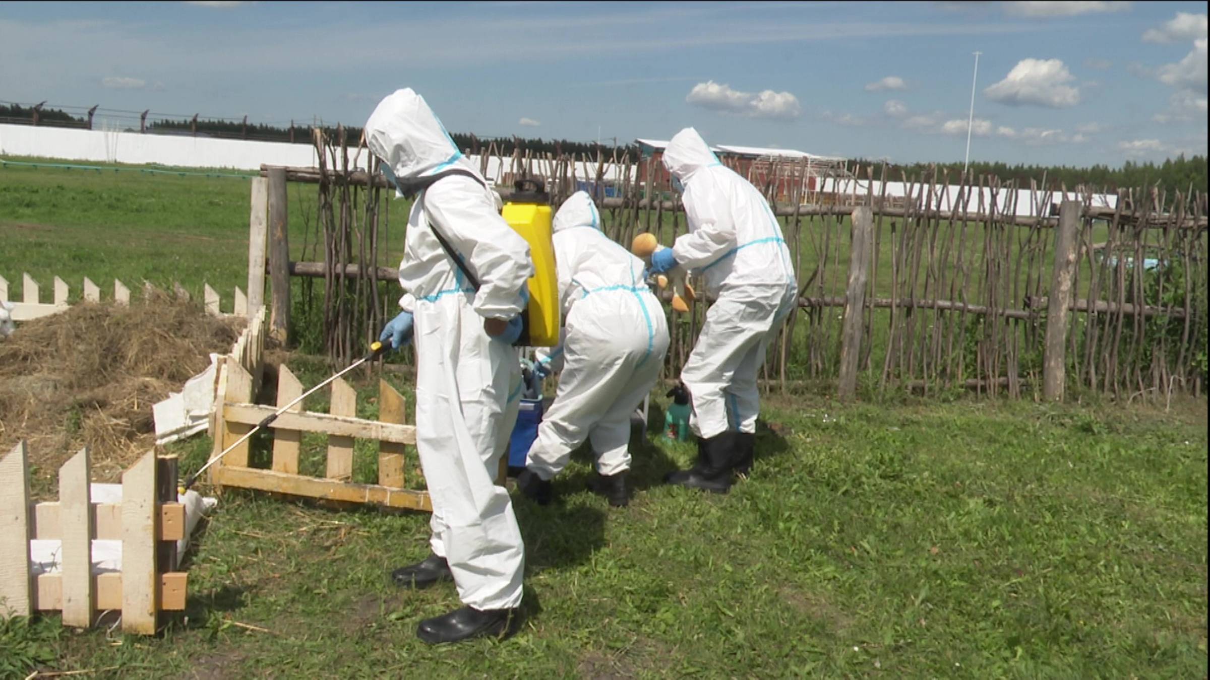 В Нурлате ликвидировали чуму мелких жвачных животных, карантин снят смотреть онлайн