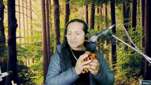 Transmisión en directo 2025