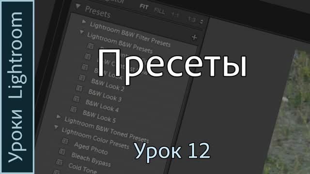 Уроки Lightroom. Урок 12. ПРЕСЕТЫ. Установка пресетов в программе Adobe LIGHTROO смотреть онлайн