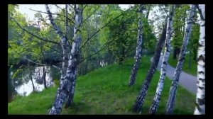 Лев Лещенко . ,, Соловьиная роща ,,