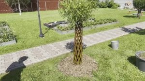 Посадка дерева из прутка ивы. Плетёные деревья (Датские корни), (Русская пальма) +7(977) 427-55-66