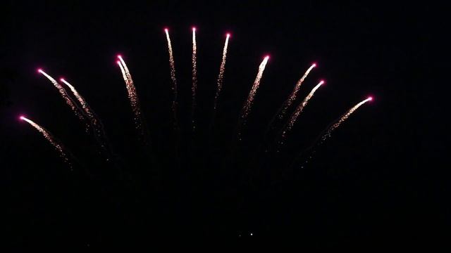 MSR1213 1,2" 13*S FAN PURPLE TIGER TAIL W/SILVER STROBE BO смотреть онлайн