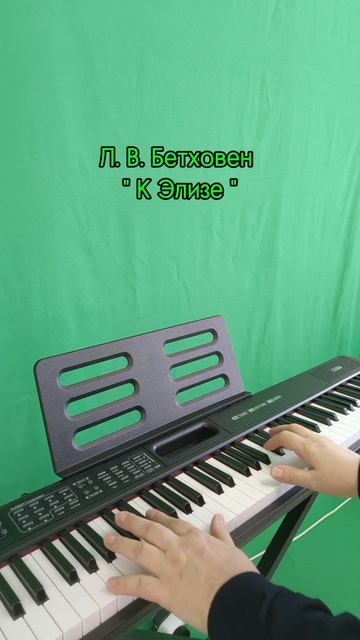 Л.В. Бетховен "К Элизе " синтезатор