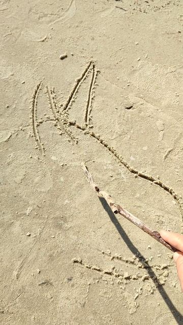 Рисуем пони единорожку Пинки-пай на песке. МК для детей