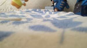 день города плюшева