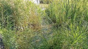 Как наладить контакт с славянской богиней Марой. Ритуалы Марены.