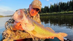 Уехали на Три дня и Наловили Рыбы. Здоровый, копчёный Судак!!!