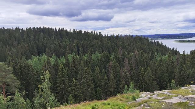 Навигатор Не Туда. Или Слушай Свой ВнутреннийГолос