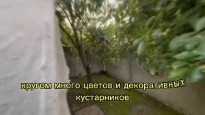 Дом в пригороде Калининграда