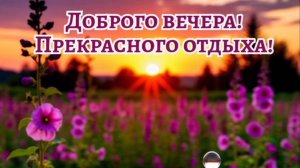 УЮТНОГО ВЕЧЕРА! ТИШИНЫ, ПОКОЯ И СЧАСТЬЯ!