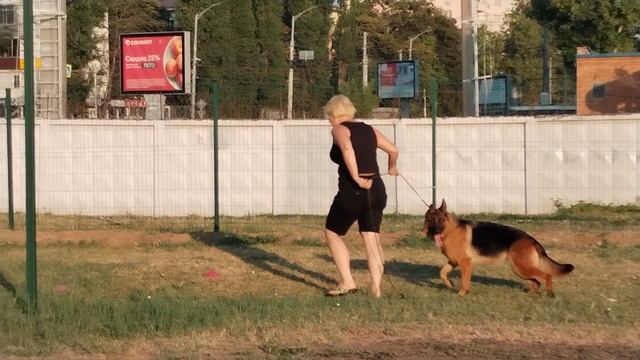 1.  выражено/перв БЕНЕФИС ЕКАТЕРИНЫ ЖАКЛИН (Zorge v. Frosten – Dzhessika-1 s Family*S Friver)