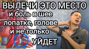 Болит шея, лопатка, голова и не только!? Срочно вылечи это место! 90% проблем оттуда
