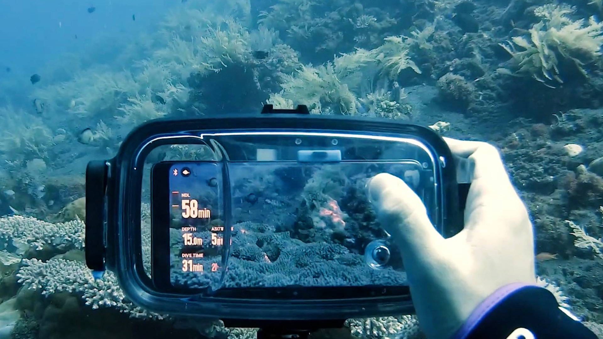 Крым. Симеиз. В поисках НЕМО на пляже Баранова)))