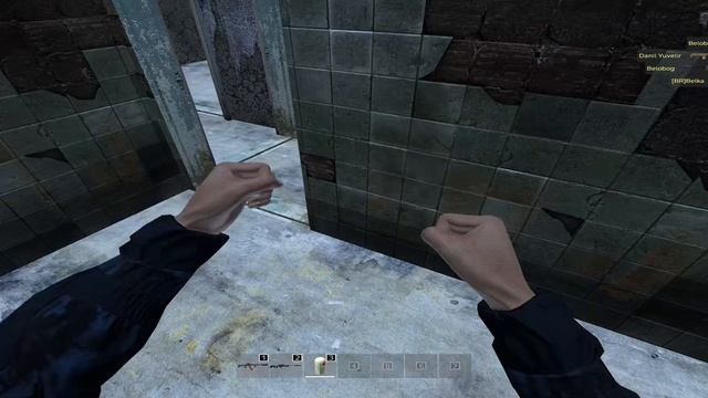 Dayz Strix Stalker DM