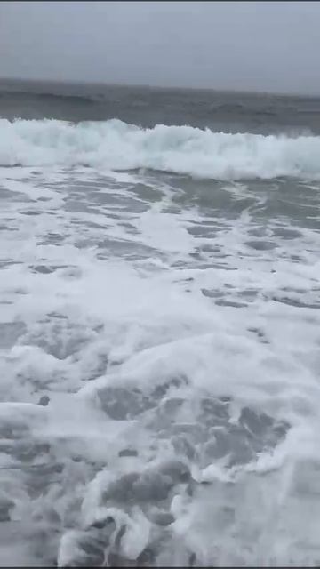 #Маленькие приключения Алисы Природа Море