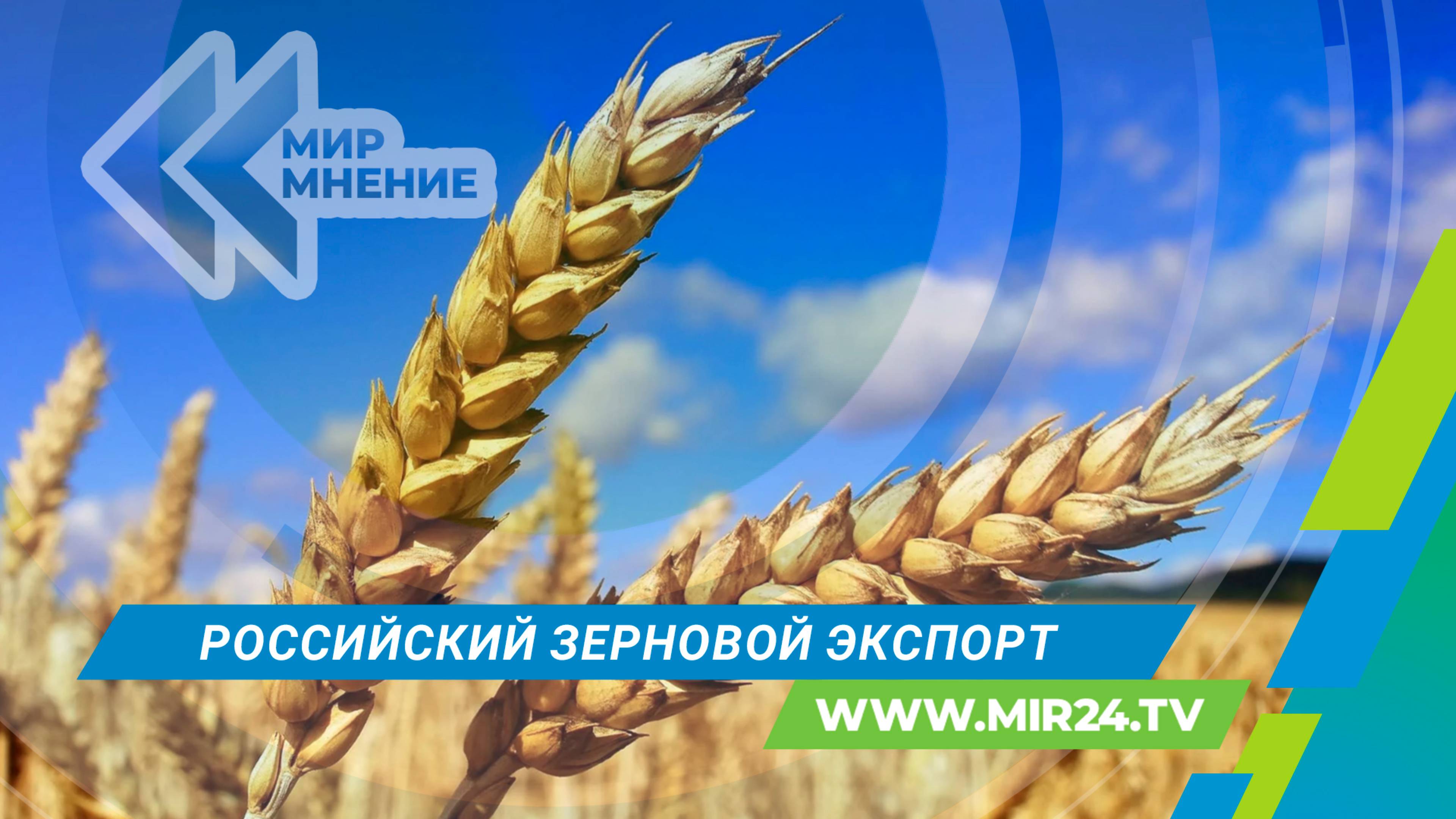 Экспорт зерна: как Россия конкурирует на мировом рынке? смотреть онлайн