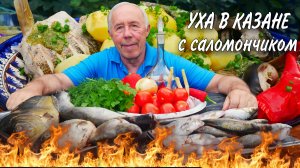 Уха двойная с водкой и саломурчиком в казане на костре