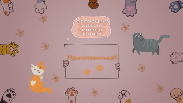 Ваш лучший выбор смотреть онлайн
