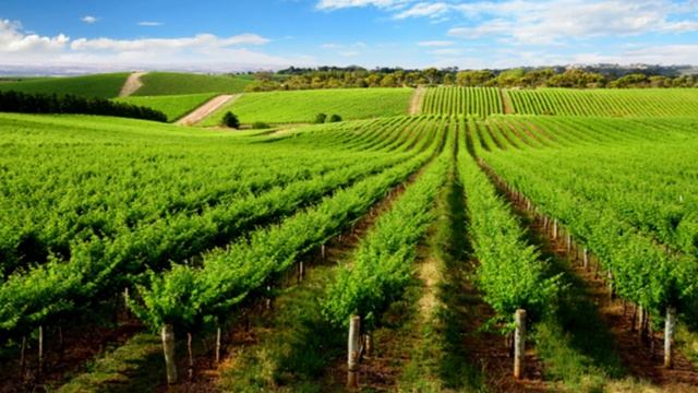 Австралия ! смотреть онлайн