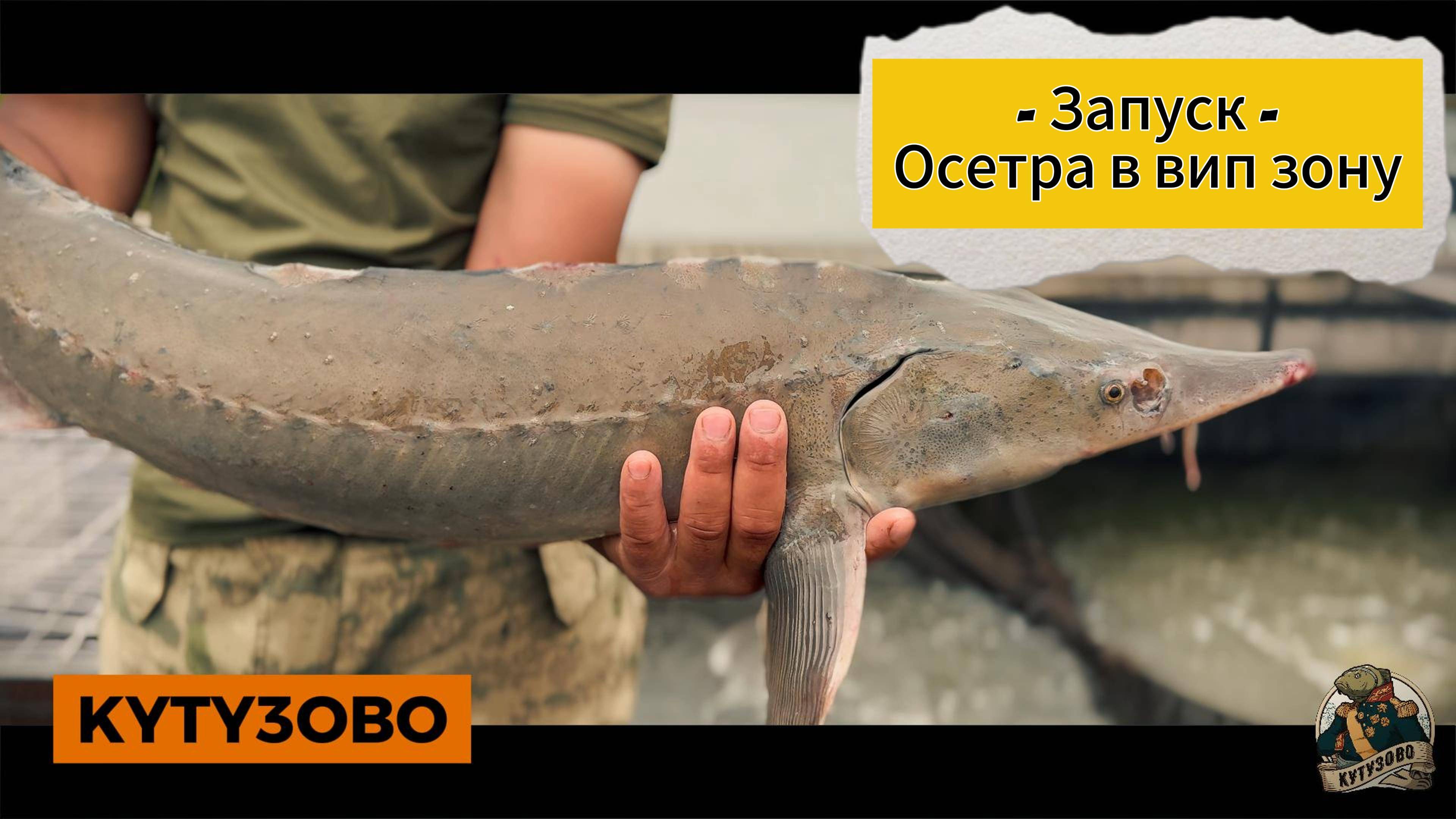 Запуск осетра в вип зону 22.07