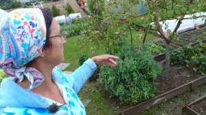 Видео привет с 6 соток 21 июля 2025 года