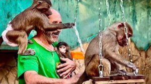 Анфиса совсем НЕ ОТХОДИТ от папы, а Степкиной компании так понравилась новая качелька!