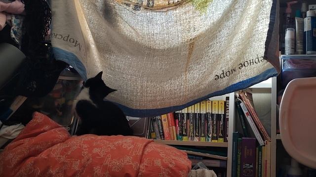 Охота на хвост.mp4