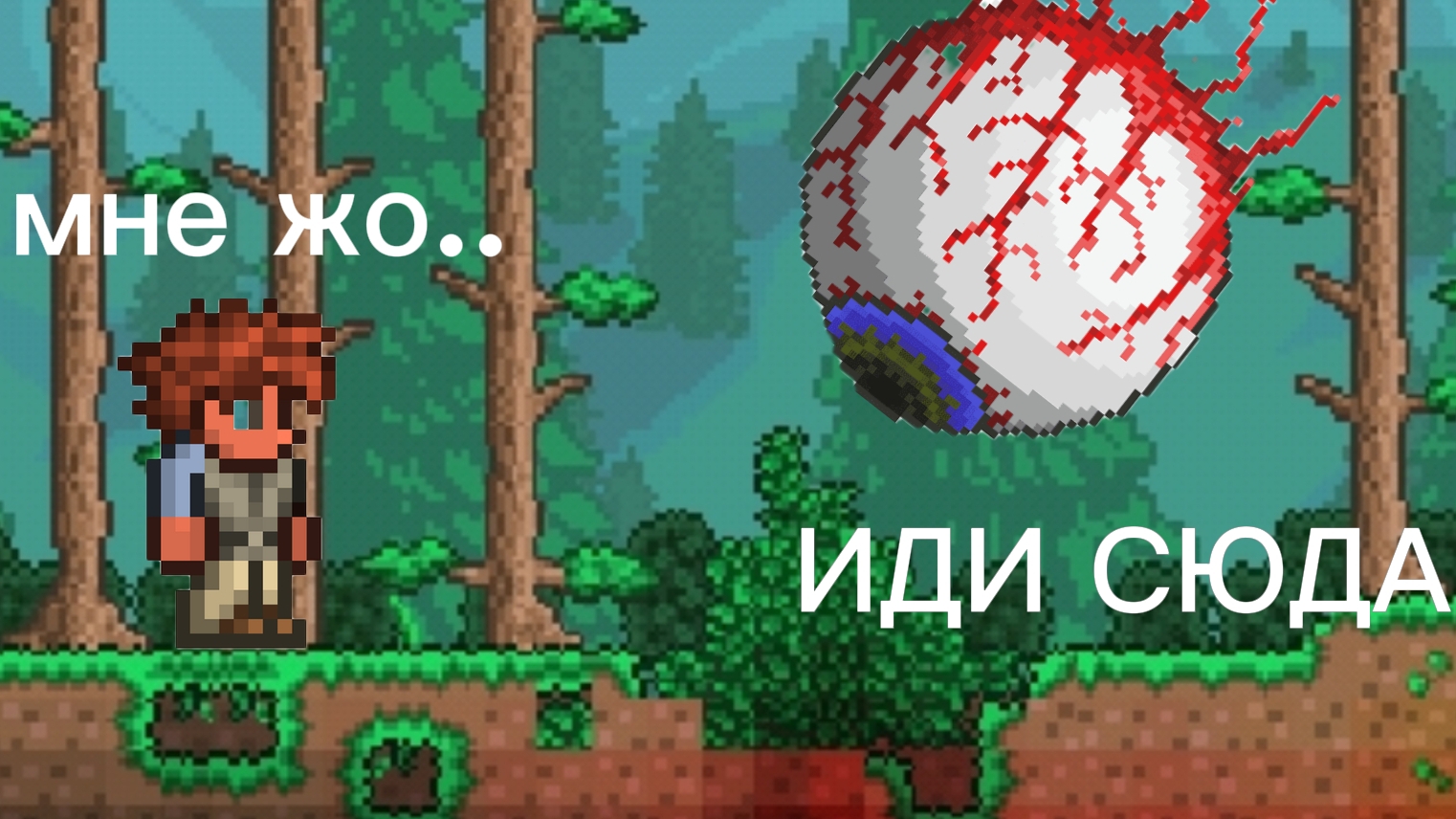 Terraria.exe