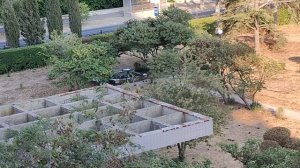 Нашествие птиц в санатории Таврия,Евпатория июль 2025