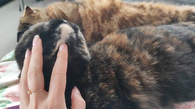 идиллия смотреть онлайн