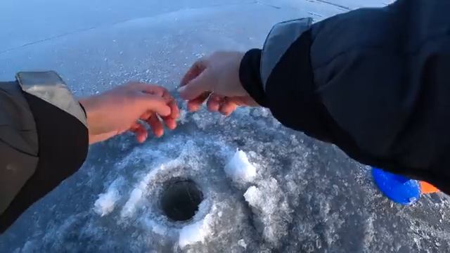 Моя рыбалка смотреть онлайн