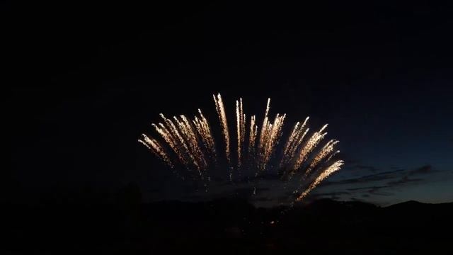 FFW1018-13F 1,2" 13*S SHOT FAN SHAPE SILVER SPIKE MINE смотреть онлайн