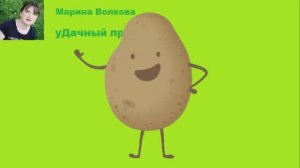 5 урожайных сортов картофеля в Сибири