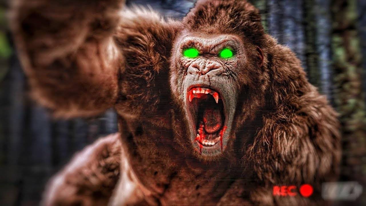 ОХОТА НА СТРАШНОГО БИГФУТА НАЧИНАЕТСЯ! 3 ЧЕЛОВЕКА VS 1 БИГФУТ! В BIGFOOT смотреть онлайн