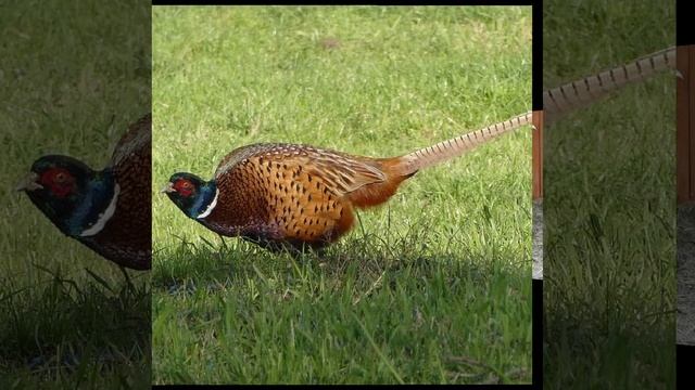 Это интересно-37