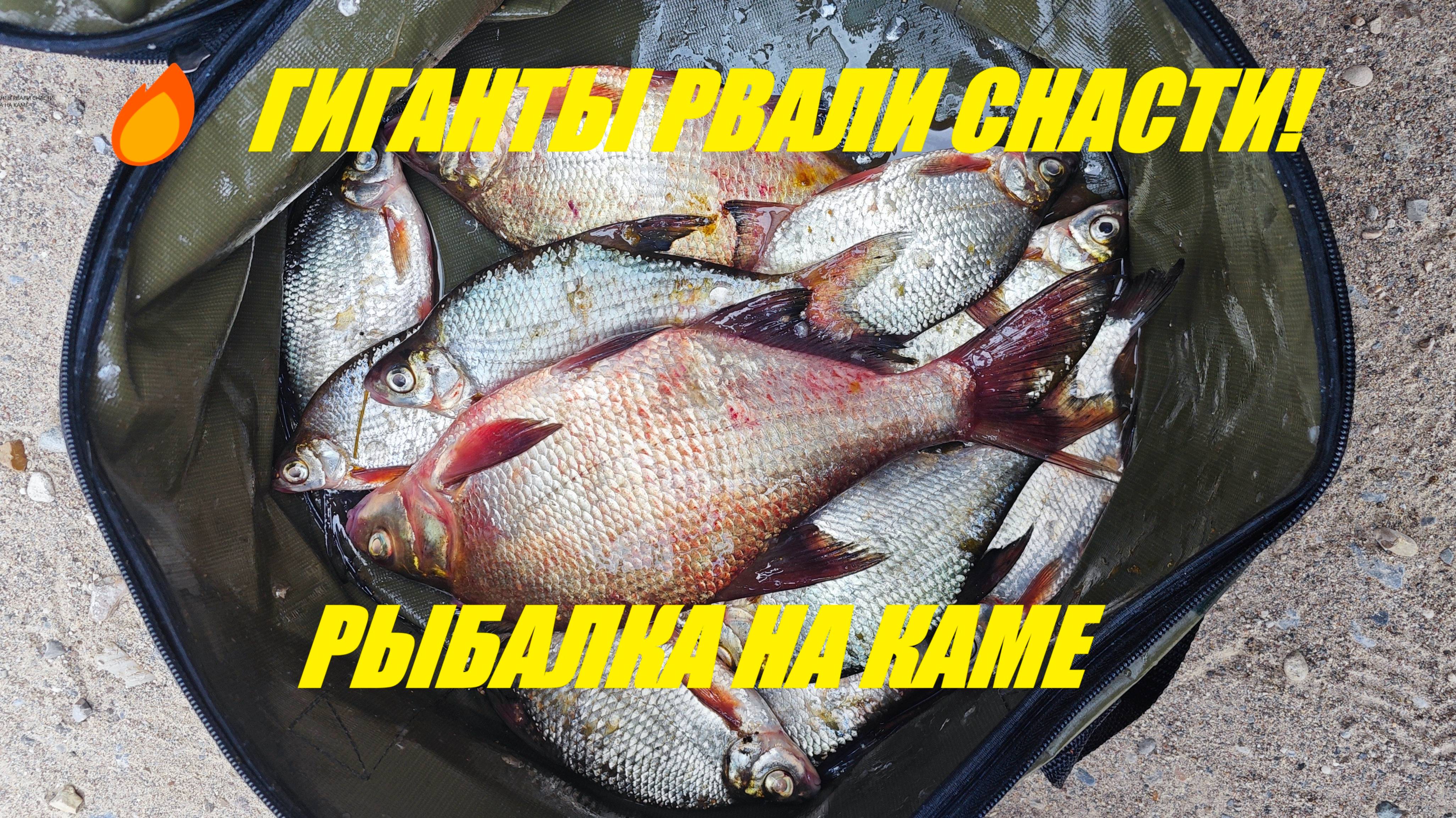 ДВА ЛЕЩА ОТОРВАЛИ ПОВОДОК! Рыбалка на Каме с лодки — такое впервые