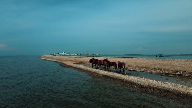 Байкал,  с. Посольск