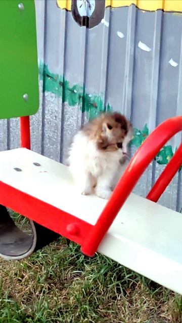 На детской площадке. КОТЁНОК 2. смотреть онлайн