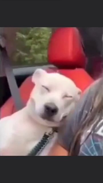 Настроение смотреть онлайн