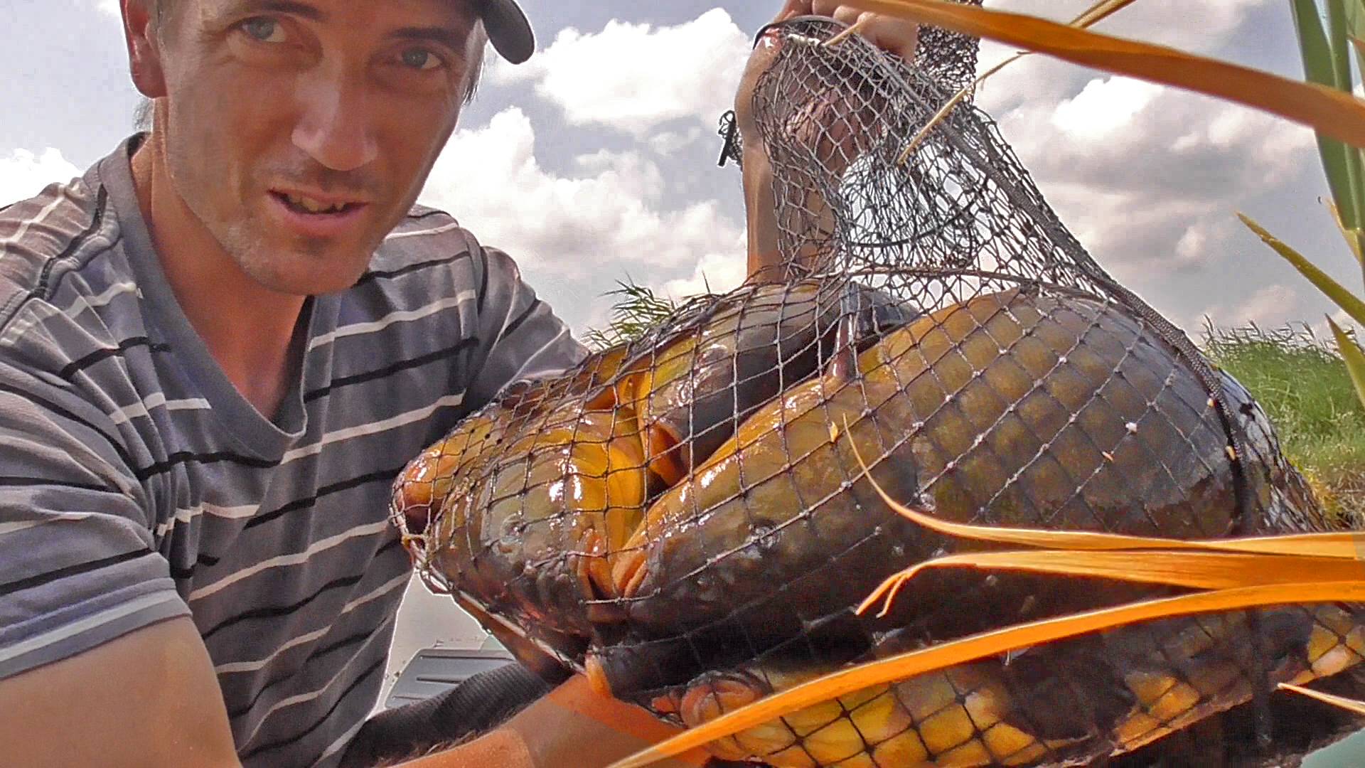 КРУПНЫЙ ЛИНЬ НА УДОЧКУ! ВОТ ЭТО УДАЧНАЯ РЫБАЛКА! Рыбалка на поплавок гусиное перо смотреть онлайн