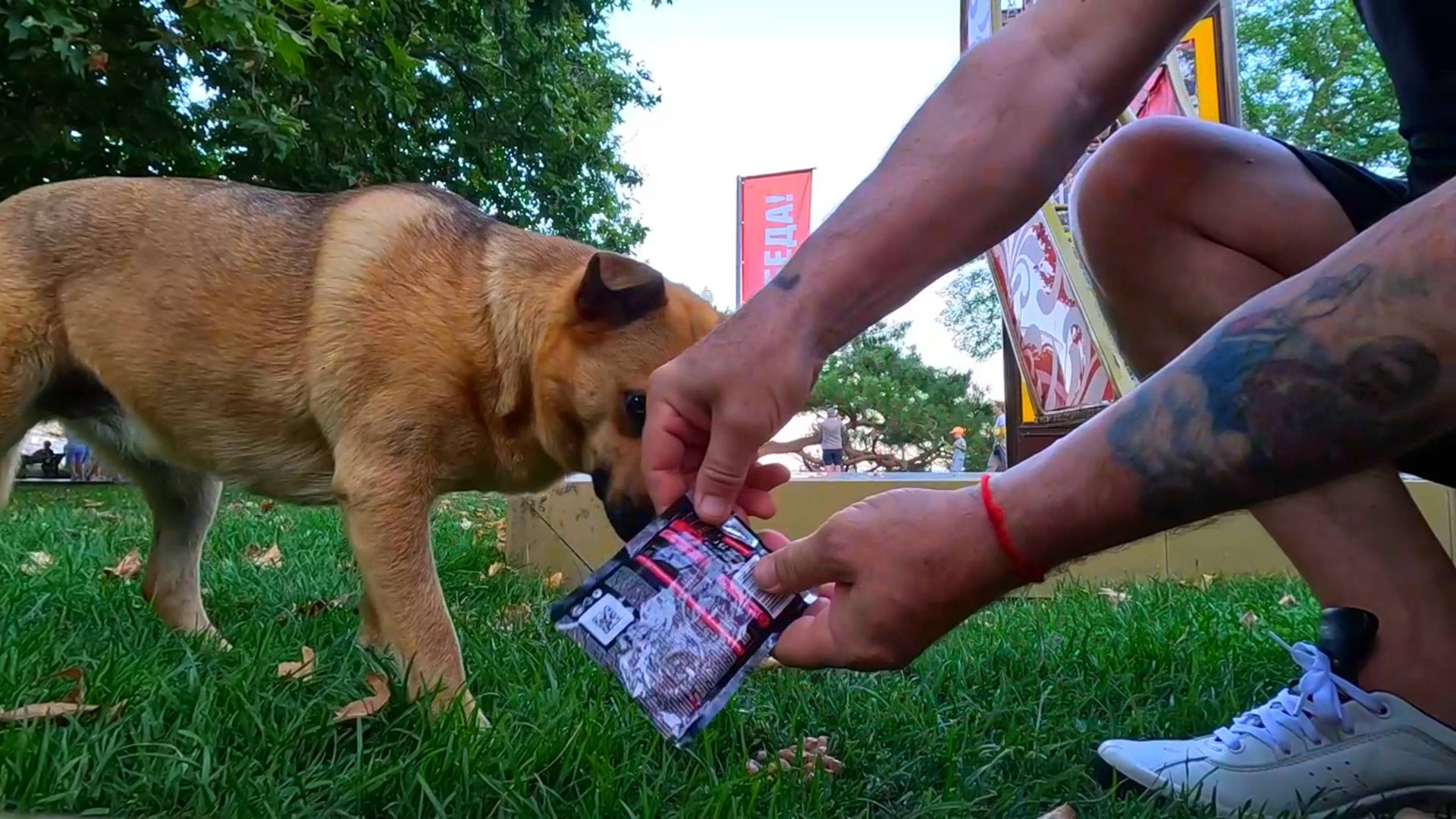 Ялта сегодня 22 июля 2025 год Крым смотреть онлайн