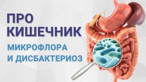 Микрофлора кишечника. Дисбактериоз кишечника