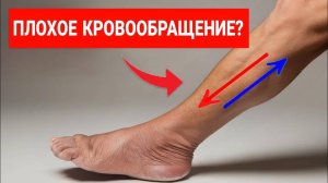 ВСЕГО 1 УПРАЖНЕНИЕ, КОТОРОЕ ВАМ НУЖНО ДЛЯ УЛУЧШЕНИЯ КРОВООБРАЩЕНИЯ В НОГАХ