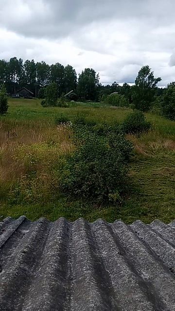 Я в деревне